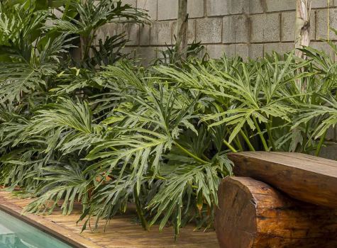 Av Dr Silvio Antônio MAtos, 30 - SIM CEP 44073-570 (7)