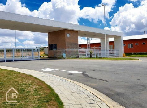 Design sem nome (38)